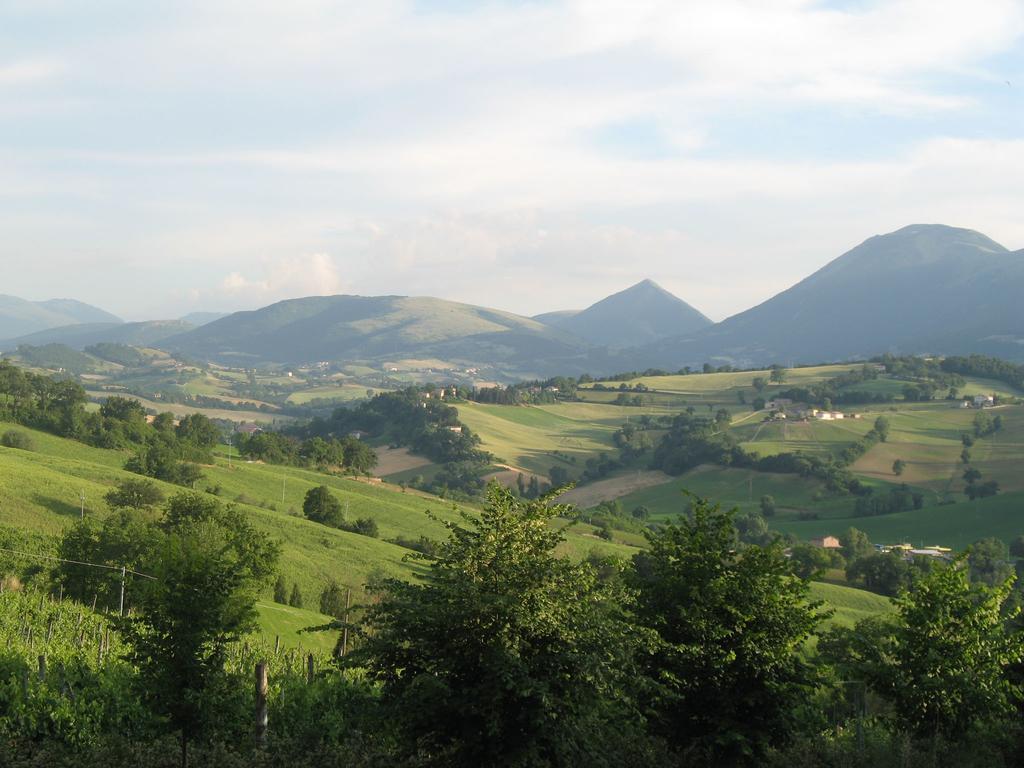 Locanda Dell'Istrice Camerino Kamer foto